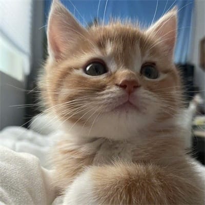 อดุลย์ สมพงษ์ avatar