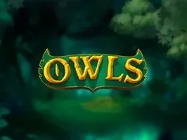 นกฮูก DNT game thumbnail